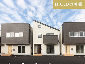 B,D棟 外観